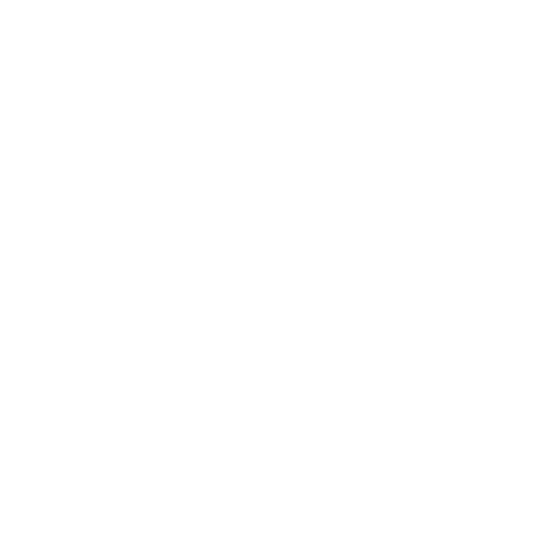 入れ歯・<br>ブリッジ